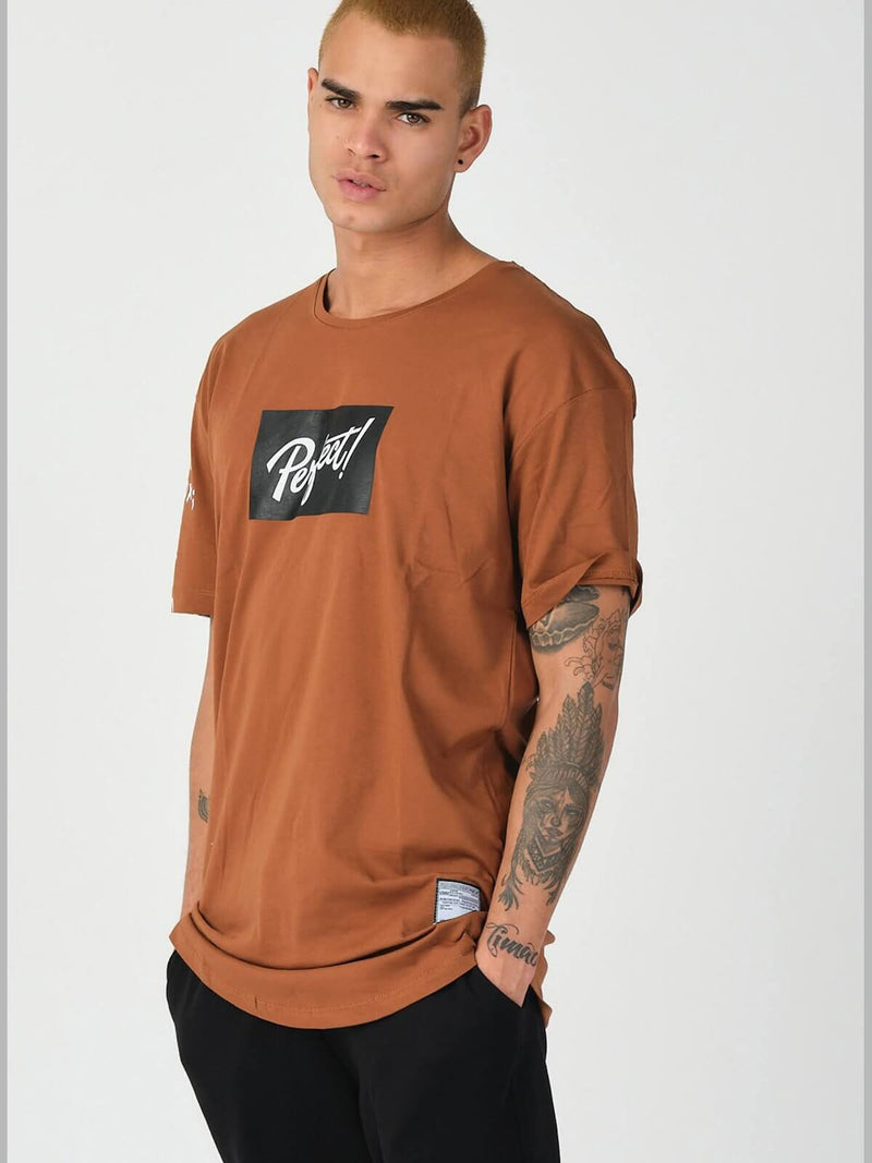 Brown Perfect Men's t-shirt (S-XXL) 21550